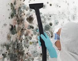 Trusted Ludlow, KY Mold Prevention & Removal  Experts